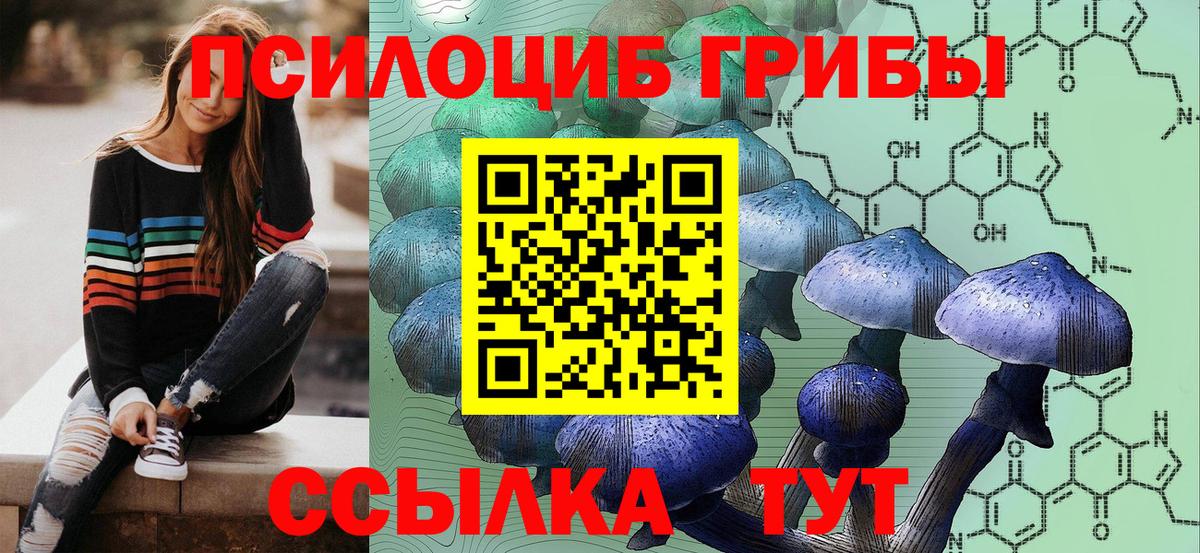 Псилоцибиновые грибы мухоморы  Вход с VPN  Нижний Тагил  Псилоцибиновые грибы Psilocybine cubensis 