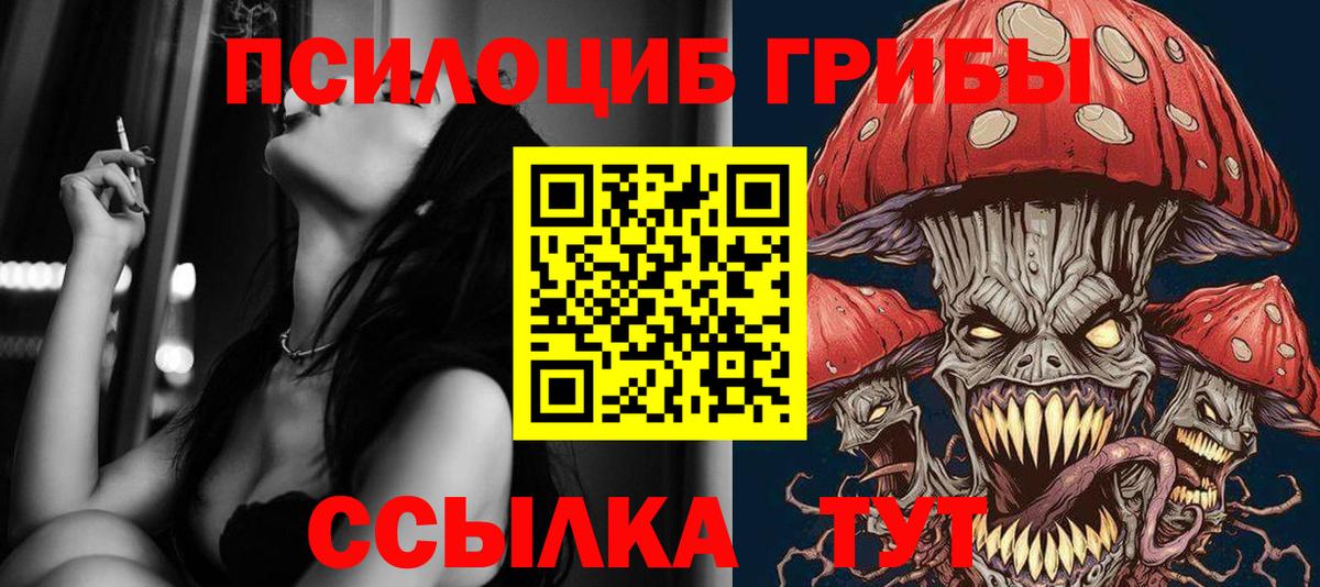 Галлюциногенные грибы Psilocybe Нижний Тагил